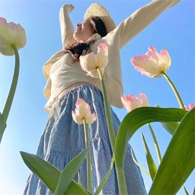 完美星球 在线观看